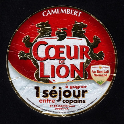 camembert-621