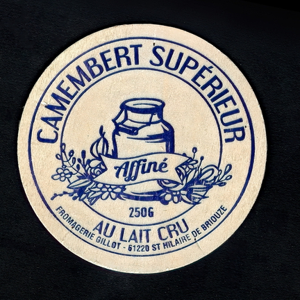 camembert-672