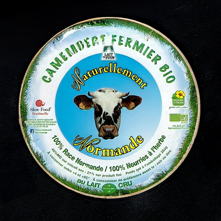camembert-673