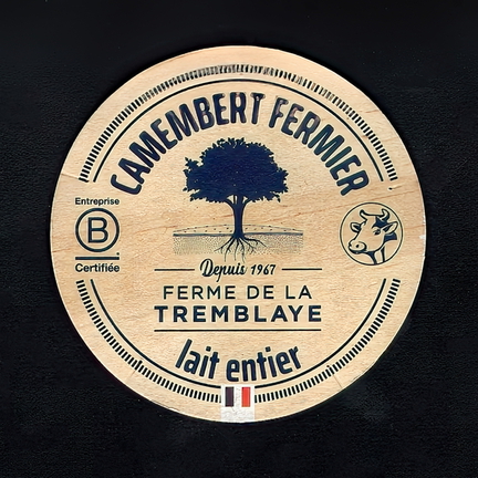 camembert-685